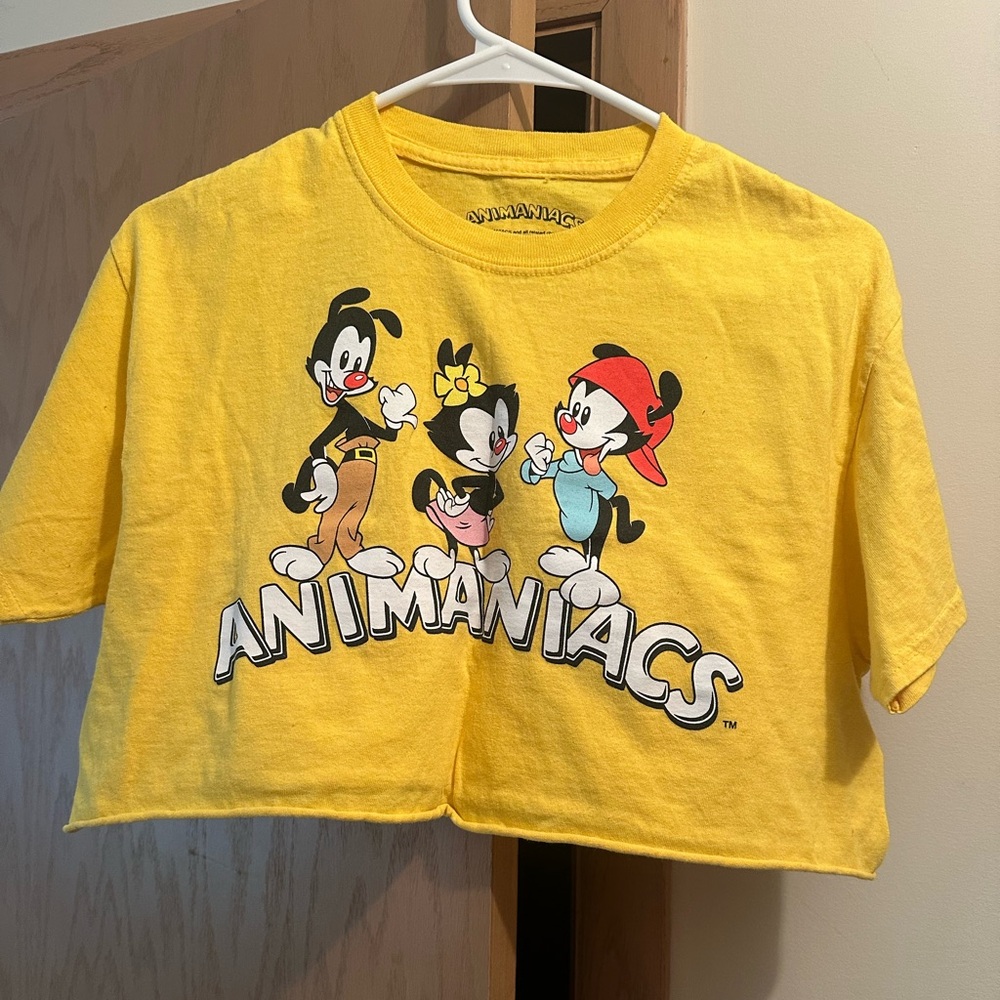 Animaniacs Yellow Crop T-Shirt
